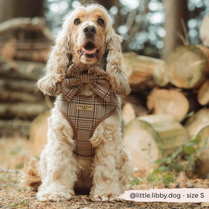 Pup Plaid Adjustable Neck Harness: XS