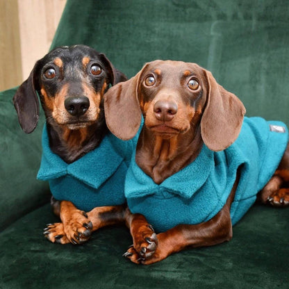Dachshund Fleece Jumper: Olive / Puppy