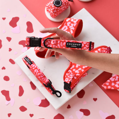 Red & Pink Leopard Collar: XS (Puppy)
